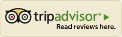 tripadvisor